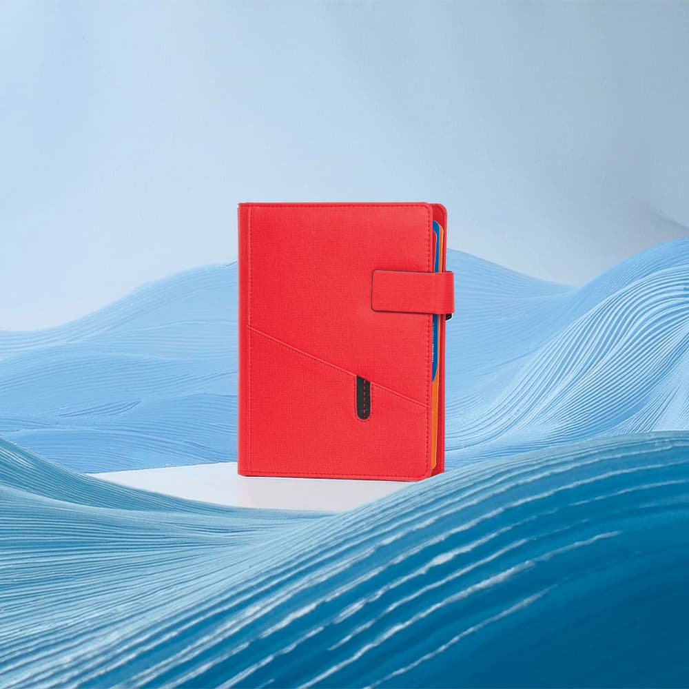 Organizer