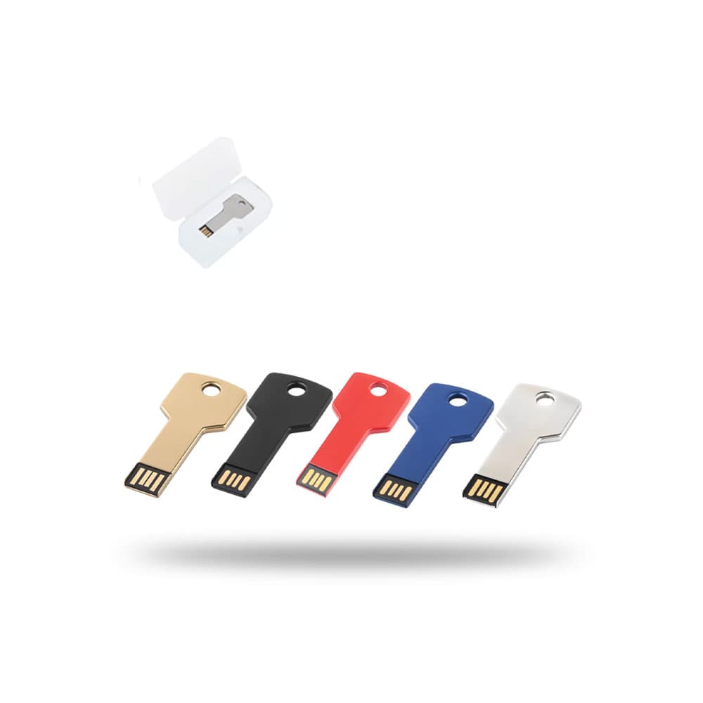 Anahtar USB Bellek