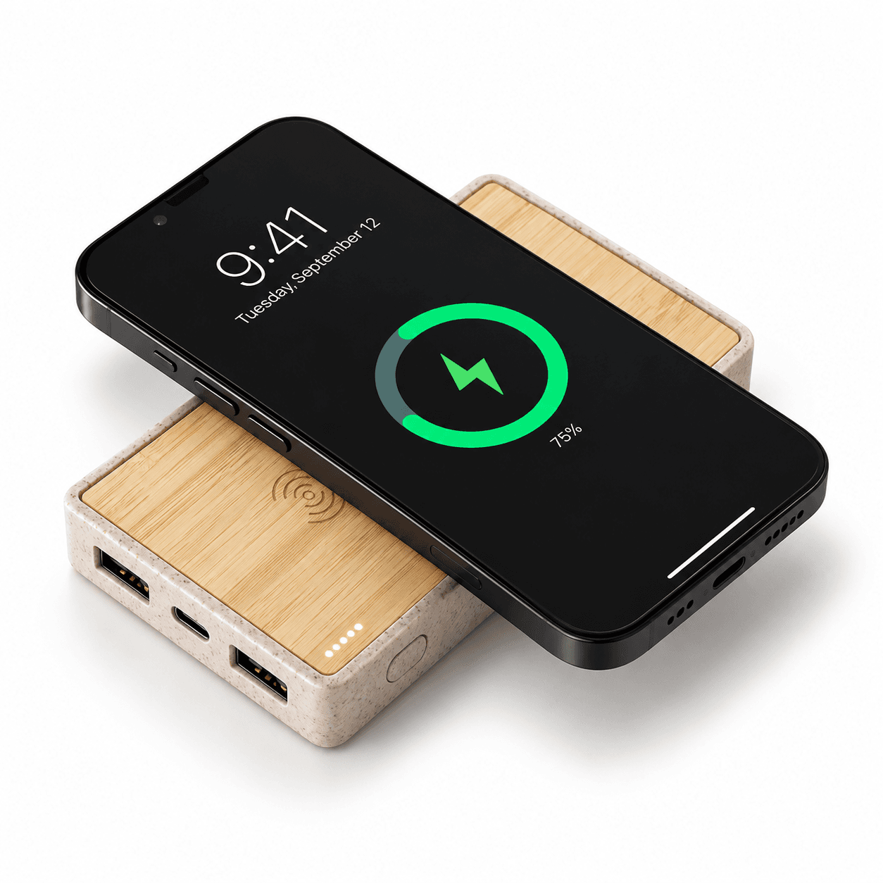 Bambu Wireless Powerbank